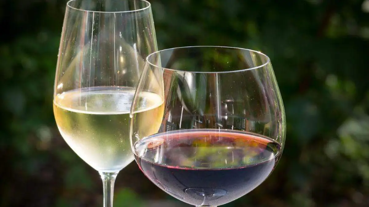 Festival vino misional Comondú
